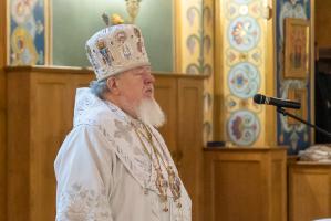 Рождественское послание митрополита Воронежского и Лискинского Сергия
