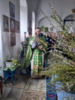 Богослужение в праздник Входа Господня в Иерусалим в Зайцевке